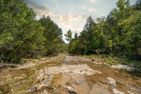 Stunning Acreage Near White River With Development Potential - image 1