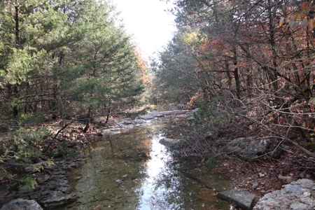 Stunning Acreage Near White River With Development Potential - image 22