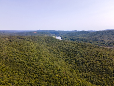 Stunning Acreage Near White River With Development Potential - image 19