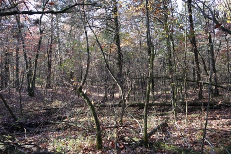 Stunning Acreage Near White River With Development Potential - image 33