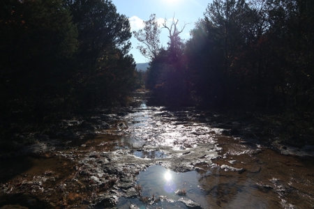 Stunning Acreage Near White River With Development Potential - image 36