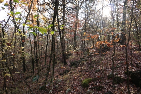 Stunning Acreage Near White River With Development Potential - image 30