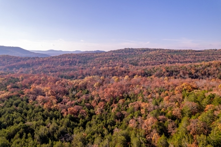 Stunning Acreage Near White River With Development Potential - image 44