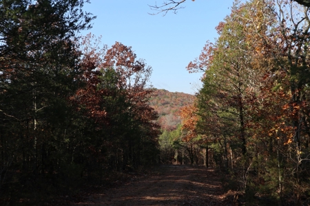 Stunning Acreage Near White River With Development Potential - image 39