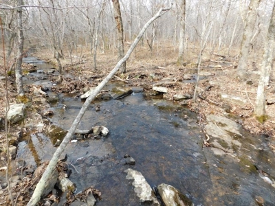 Land for Sale Near Buffalo National River 23 Acres Compton - image 4
