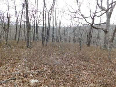 Land for Sale Near Buffalo National River 23 Acres Compton - image 5