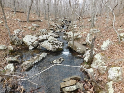 Land for Sale Near Buffalo National River 23 Acres Compton - image 1