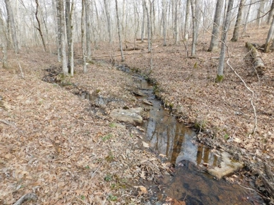 Land for Sale Near Buffalo National River 23 Acres Compton - image 6