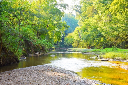 Hunting, Building Sites, 1 1/2 miles river frontage, Woods - image 1