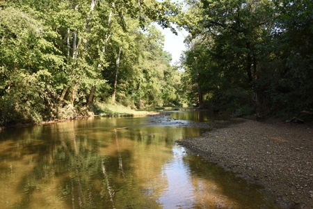 Hunting, Building Sites, 1 1/2 miles river frontage, Woods - image 22