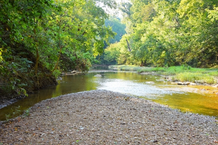Hunting, Building Sites, 1 1/2 miles river frontage, Woods - image 21