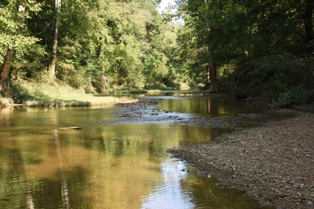 Hunting, Building Sites, 1 1/2 miles river frontage, Woods - image 23