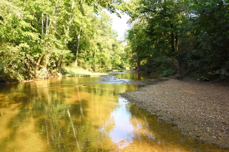 Hunting, Building Sites, 1 1/2 miles river frontage, Woods - image 26