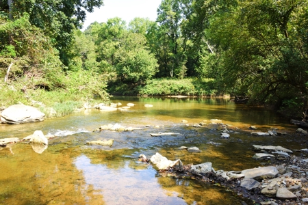 Hunting, Building Sites, 1 1/2 miles river frontage, Woods - image 18