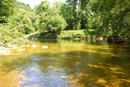 Hunting, Building Sites, 1 1/2 miles river frontage, Woods - image 19