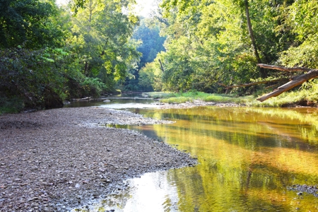 Hunting, Building Sites, 1 1/2 miles river frontage, Woods - image 32