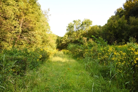 Hunting, Building Sites, 1 1/2 miles river frontage, Woods - image 20