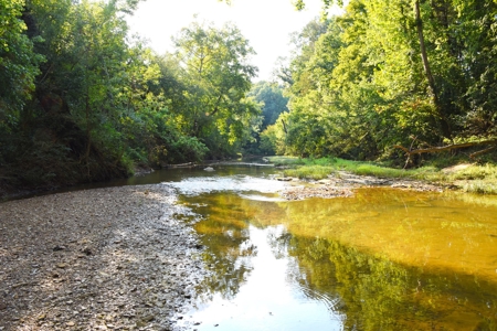 Hunting, Building Sites, 1 1/2 miles river frontage, Woods - image 27