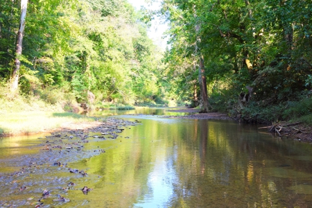 Hunting, Building Sites, 1 1/2 miles river frontage, Woods - image 29
