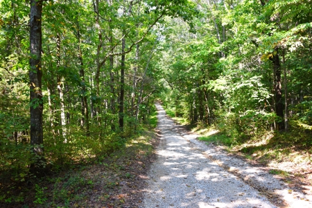 Hunting, Building Sites, 1 1/2 miles river frontage, Woods - image 9