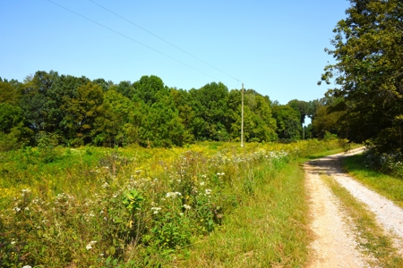 Hunting, Building Sites, 1 1/2 miles river frontage, Woods - image 12