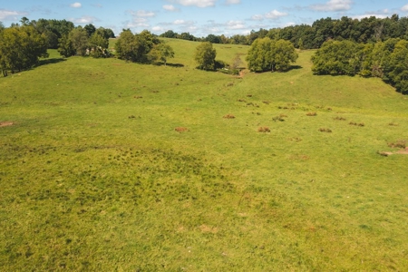 Land for Sale in Floyd County VA! - image 16