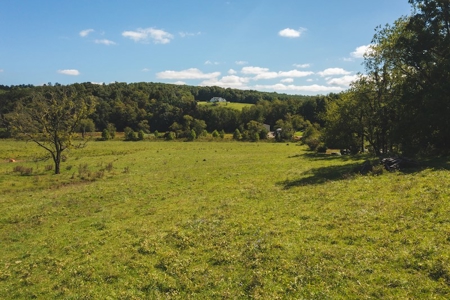 Land for Sale in Floyd County VA! - image 18
