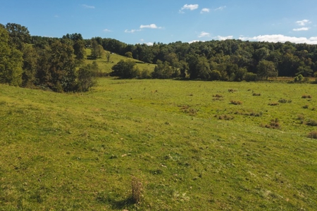 Land for Sale in Floyd County VA! - image 2