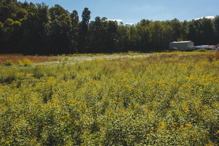 Land for Sale in Floyd County VA! - image 10