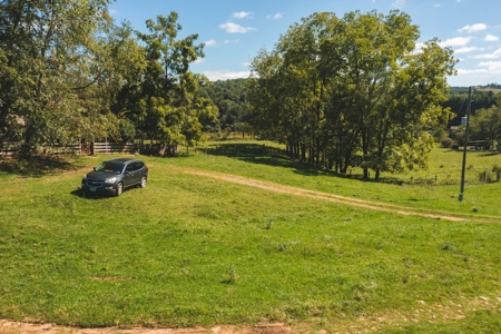 Mini Farm for Sale in Floyd VA! - image 3