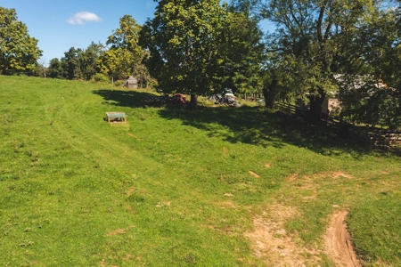 Mini Farm for Sale in Floyd VA! - image 4