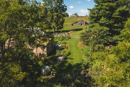 Mini Farm for Sale in Floyd VA! - image 6