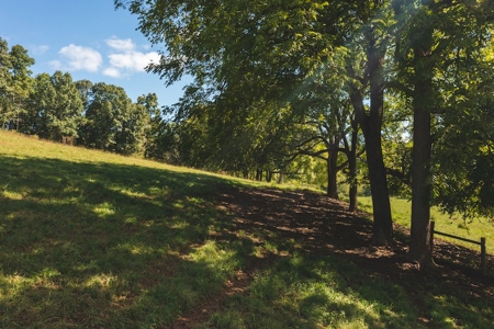 Land for Sale with Creek Frontage in Floyd VA - image 13