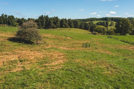 Land for Sale with Creek Frontage in Floyd VA - image 4