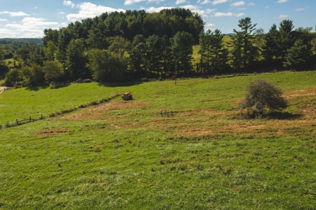 Land for Sale with Creek Frontage in Floyd VA - image 8