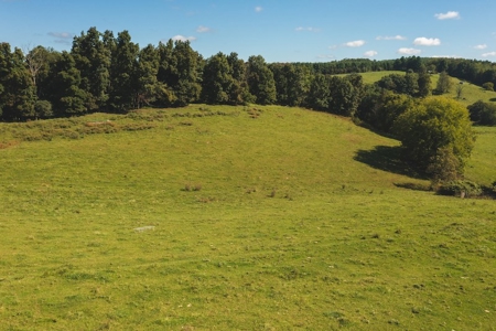 Land for Sale with Creek Frontage in Floyd VA - image 6