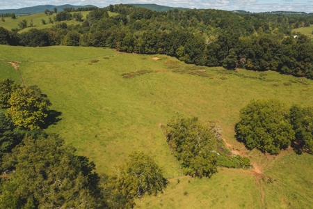 Land for Sale with Creek Frontage in Floyd VA - image 14