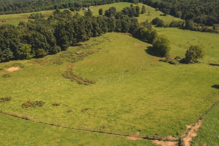 Land for Sale with Creek Frontage in Floyd VA - image 17