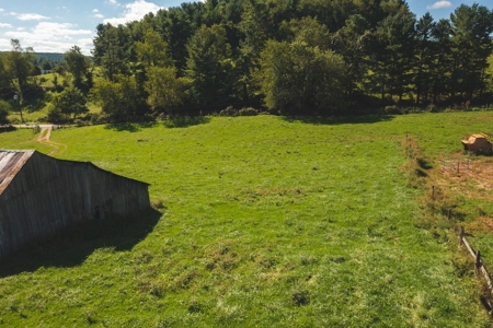 Land for Sale with Creek Frontage in Floyd VA - image 11