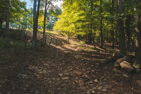 Open & Wooded Land for Sale in Floyd VA! - image 2