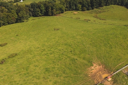 Open & Wooded Land for Sale in Floyd VA! - image 12