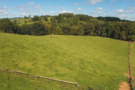 Open & Wooded Land for Sale in Floyd VA! - image 6