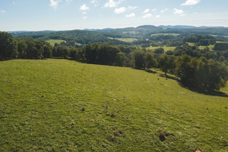 Land for Sale in Floyd VA with Views! - image 8