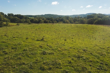 Land for Sale in Floyd VA with Views! - image 4
