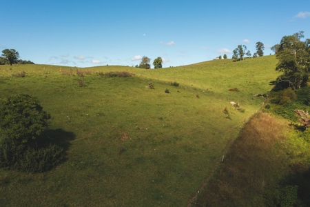Land for Sale in Floyd VA with Views! - image 15