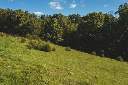 Land for Sale in Floyd VA with Views! - image 12