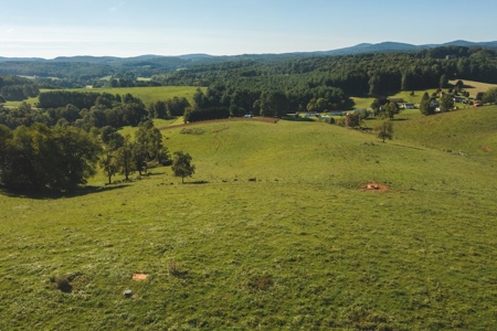 Land for Sale in Floyd VA with Views! - image 9