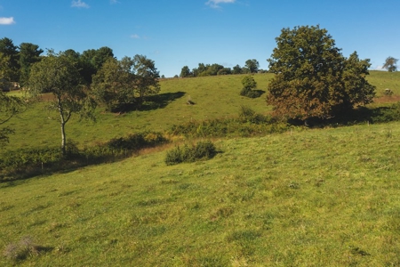 Land for Sale in Floyd VA with Views! - image 13