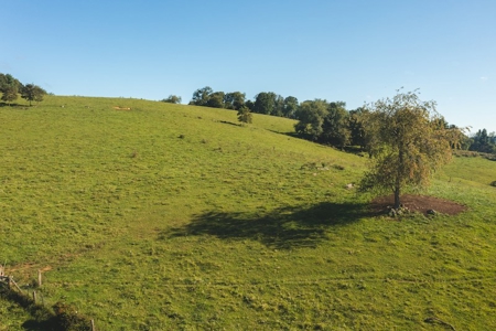 Land for Sale in Floyd VA with Views! - image 1