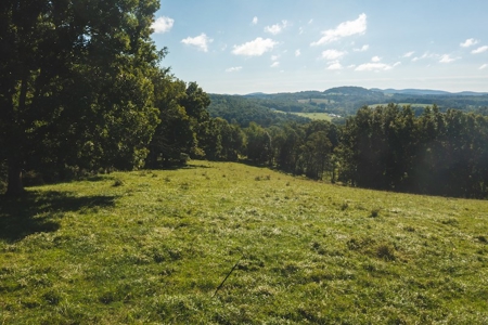 Land for Sale in Floyd VA with Views! - image 10